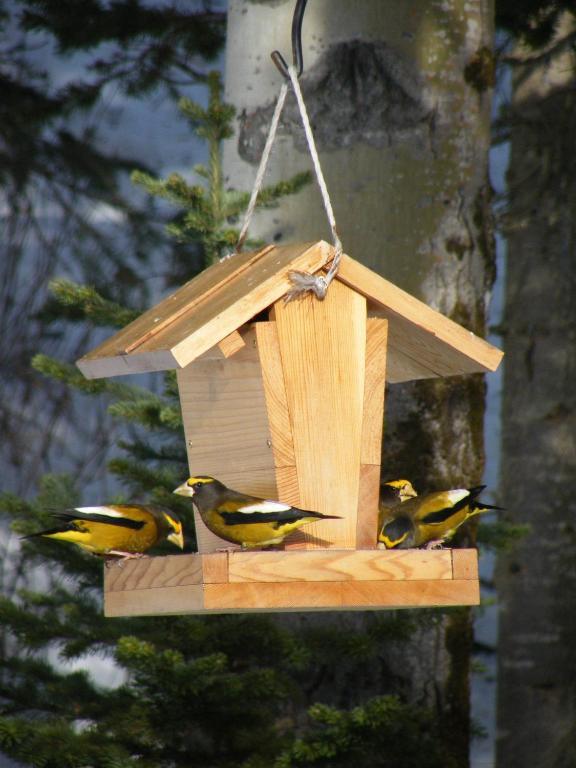 Silvern Lake Trail Bed&Breakfast Smithers Exterior foto